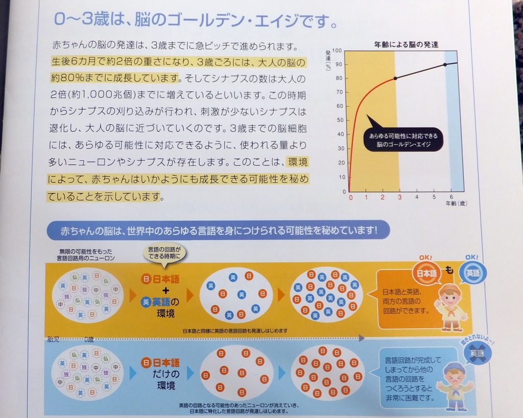 ディズニー英語システム,DWE,英検,先取り,準1級,2級,ワールドファミリー,英語ができると,楽できる,利点