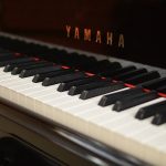 piano 5歳　開始　脳科学　教育