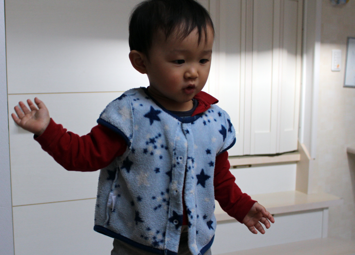 DWE歴,1歳児,インプット,スピード