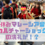 マレーシア,留学,バイリンガル教育,オンライン英会話,短期,夏休み,ディズニー英語システム,DWE,WFC