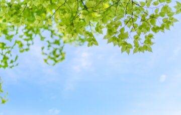 進級,受験生,受験,中学,中受,教育,ブログ,東大,偏差値