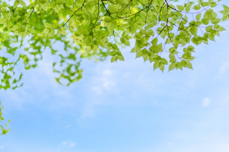 進級,受験生,受験,中学,中受,教育,ブログ,東大,偏差値